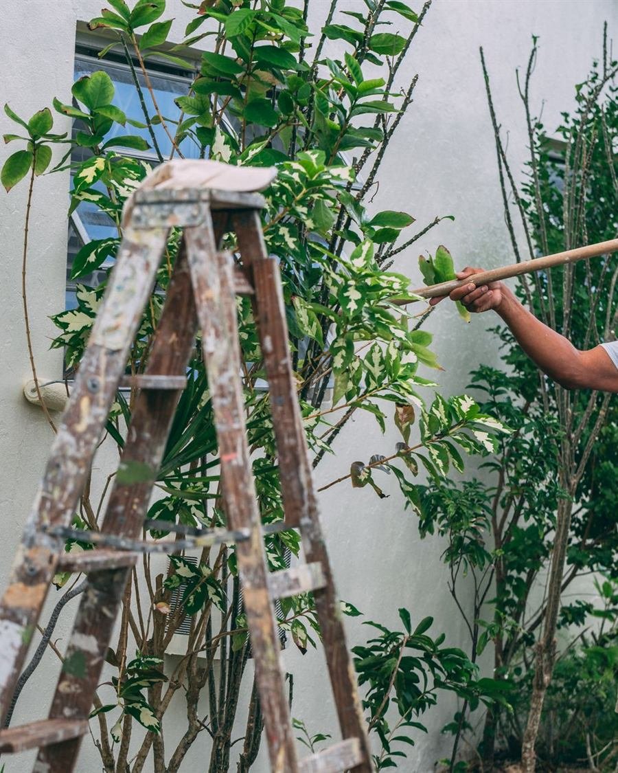 Pintor a aplicar tinta com rolo numa parede interior durante a renovação de uma casa